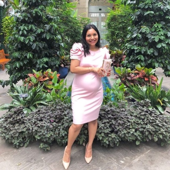 Pietro Brunelli Pink Salisburgo Rose Ruffle Maternity Dress Size S Baby Shower - Picture 7 of 13